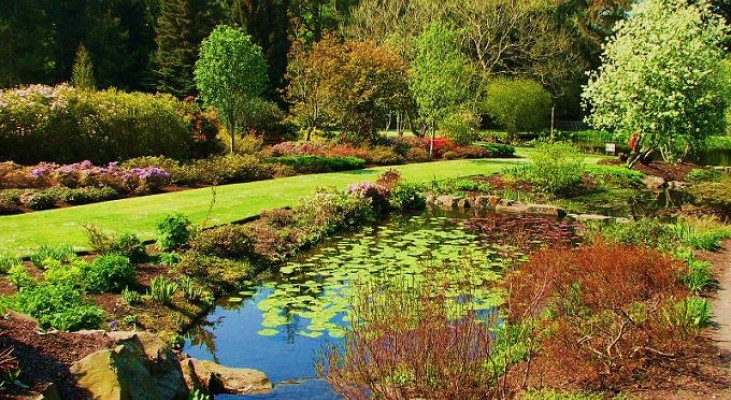 St Andrew's Botanic Garden