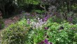 stillingfleet-lodge-garden.jpg