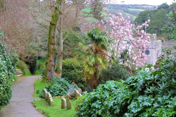 St Just in Roseland Churchyard