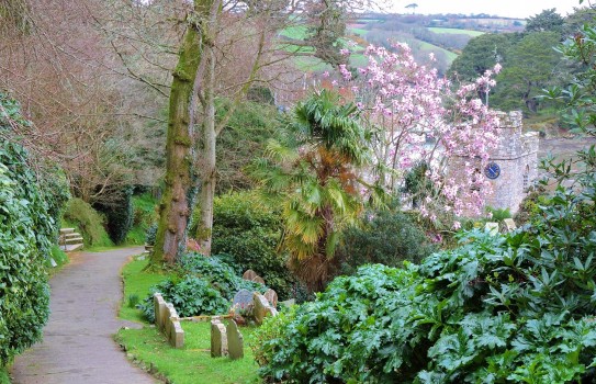 St Just in Roseland Churchyard