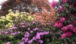 stody-lodge-in-may.jpg