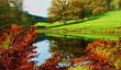 stourhead-october.jpg