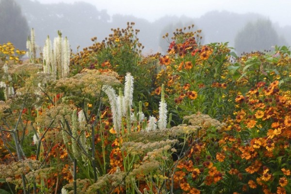 Sussex Prairie Garden