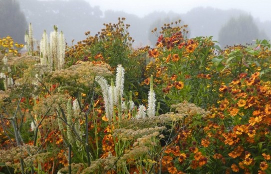 Sussex Prairie Garden