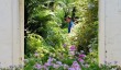 tatton-gardens-fernery.jpg