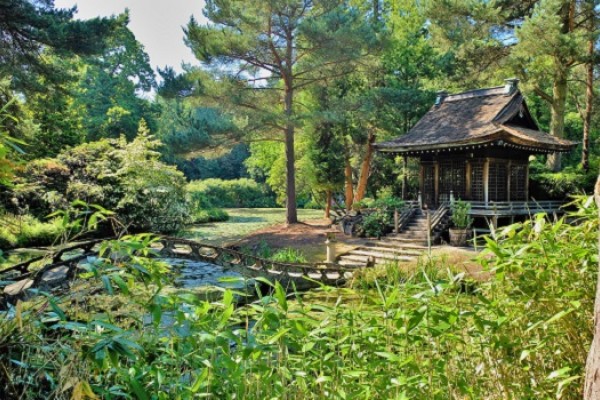 Tatton Park Garden