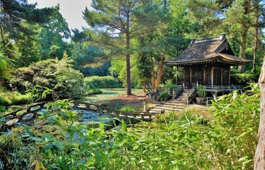 Tatton Park Garden