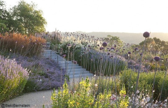 American Museum Gardens