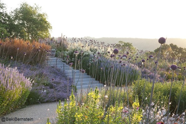 American Museum Gardens