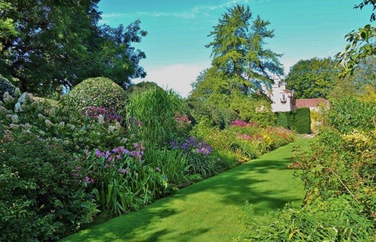 The Courts Garden