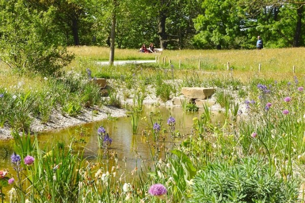 Queen Elizabeth 11 Garden Regents Park