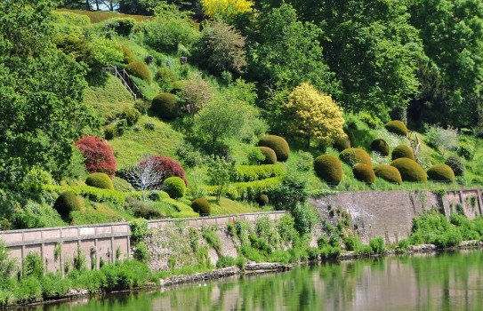 The Weir Garden