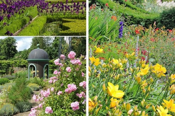 Thenford Arboretum - Open Days 2023