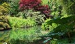 thenford-water-garden.jpg