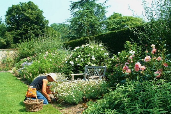 Tintinhull Garden