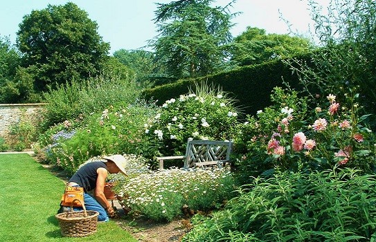 Tintinhull Garden Tintinhull Garden