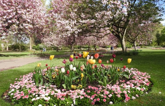 Old Town Gardens Swindon