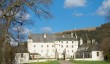 traquair-daffodils.jpg