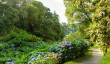 trebah-gardens-2.jpg