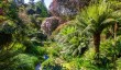 trebah-gardens-3.jpg