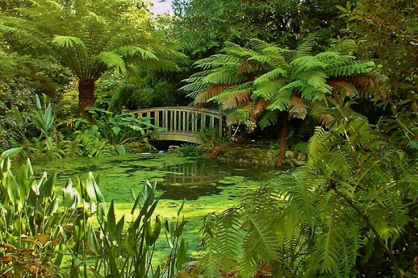 Trengwainton Garden 