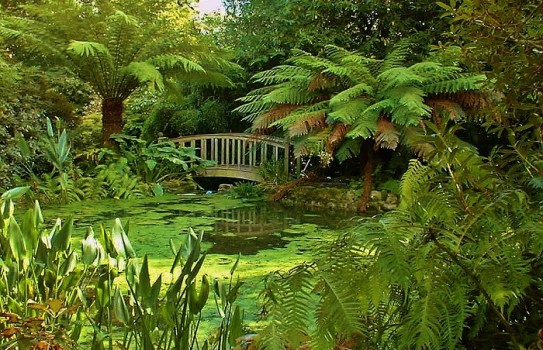 Trengwainton Garden, near Penzance & Hotels - Great British Gardens