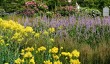 trentham_gardens.jpg