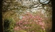 upton-wold-garden-spring.jpg