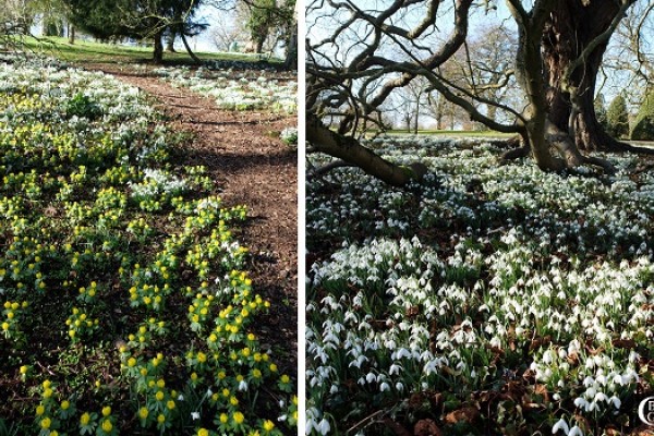 Gardens to visit Cotswolds - Upton Wold