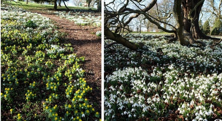 Gardens to visit Cotswolds - Upton Wold
