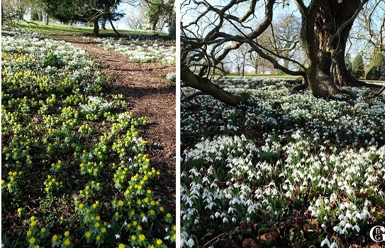 Gardens to visit Cotswolds - Upton Wold