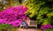 wakehurst-spring.jpg