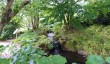 wales-botanic-gaden.jpg