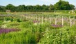 walled-gardens-scotland.jpg