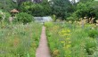 waltham-place-gardens-berkshire-3.jpg