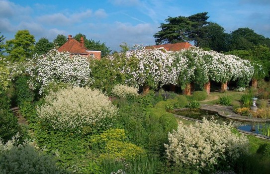 Waltham Place Garden Waltham Place Garden