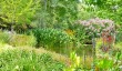 water-gardens-in-hampshire.jpg