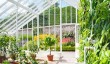 west-dean-garden-greenhouse.jpg