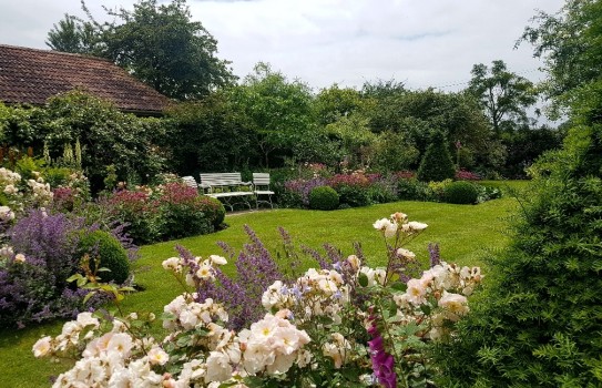 Westbrook House Garden