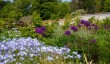 wildegoose-garden-shropshire.jpg