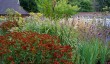 wildgoose-gardens.jpg