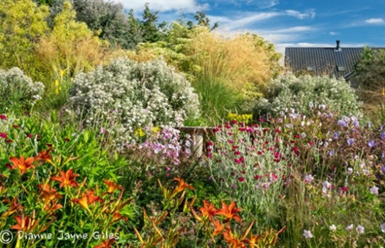 Wildside Garden Devon Wildside Garden Devon