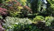 winterbourne-house-garden.jpg