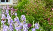 wiveton-hall-garden-blakeney.jpg