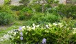 wiveton-hall-gardens-norfolk.jpg