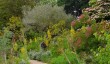 woolbeding-dry-garden.jpg