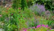 woolbeding-summer.jpg