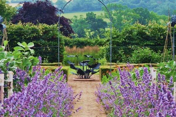 Yeo Valley Organic Garden