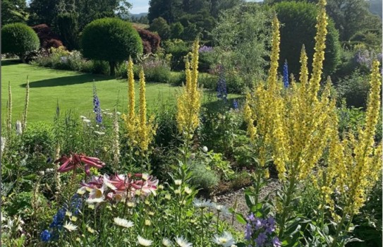 Yews Garden Cumbria Yews Garden Cumbria