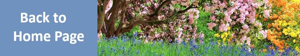 gbg-banner